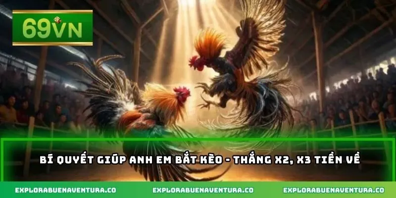 Bí quyết giúp anh em bắt kèo - Thắng x2, x3 tiền về