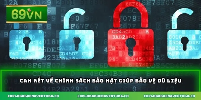 Cam kết về chính sách bảo mật giúp bảo vệ dữ liệu
