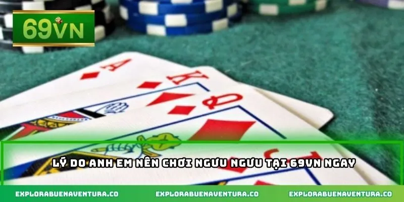 Lý do anh em nên chơi ngưu ngưu tại 69VN ngay