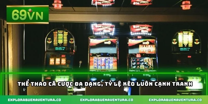 Thể thao cá cược đa dạng, tỷ lệ kèo luôn cạnh tranh